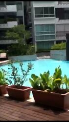 The Stellar (D5), Condominium #504513821